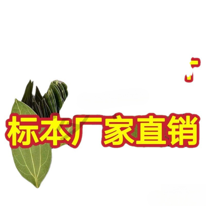 format,png
