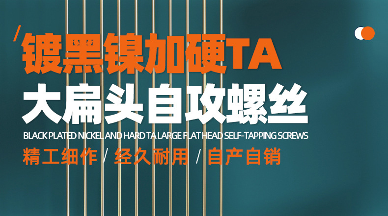 黑镍加硬TA十字大扁头自攻螺丝_01_01.jpg
