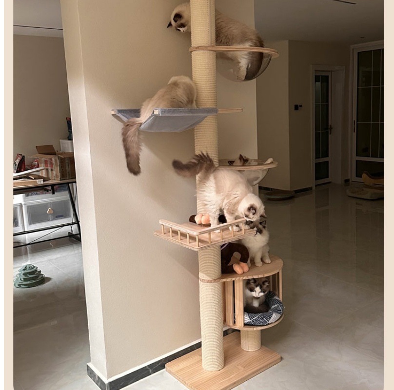 9159b809-c6b2-4155-9ae0-6155606a957c.jpe