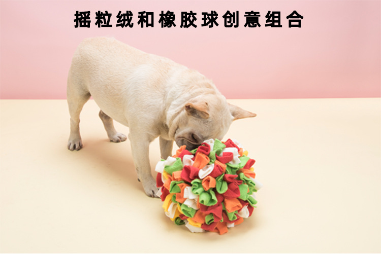 宠物闻嗅球_08.jpg