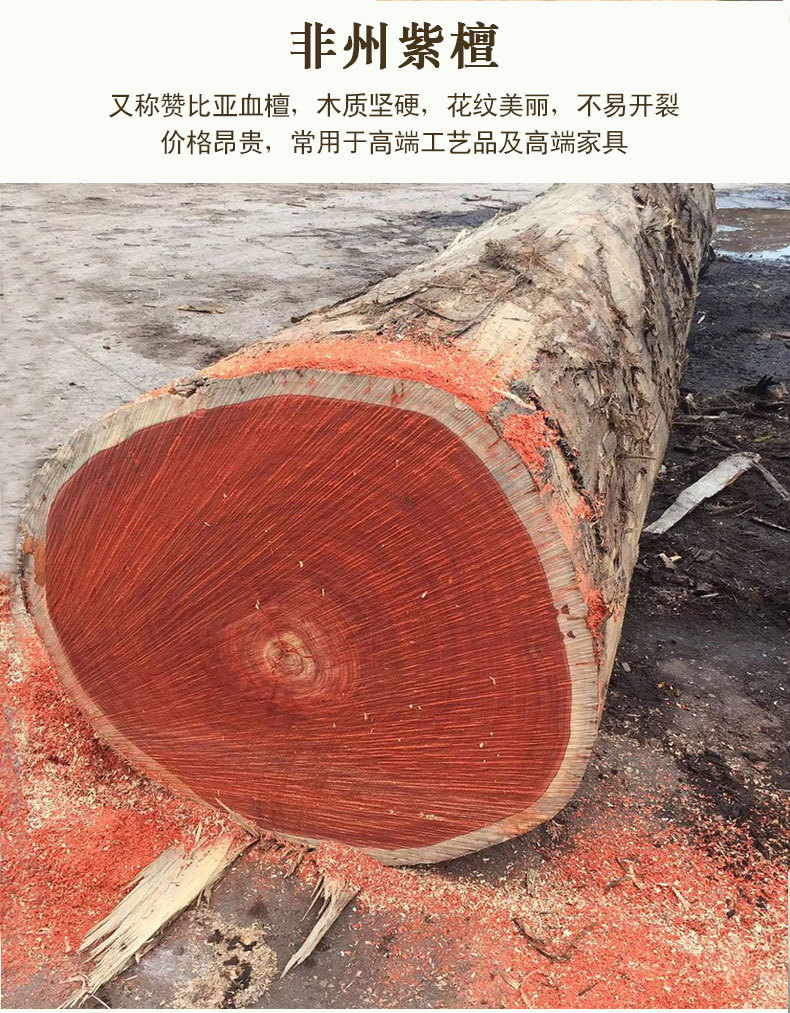 紫檀小盘龙_08