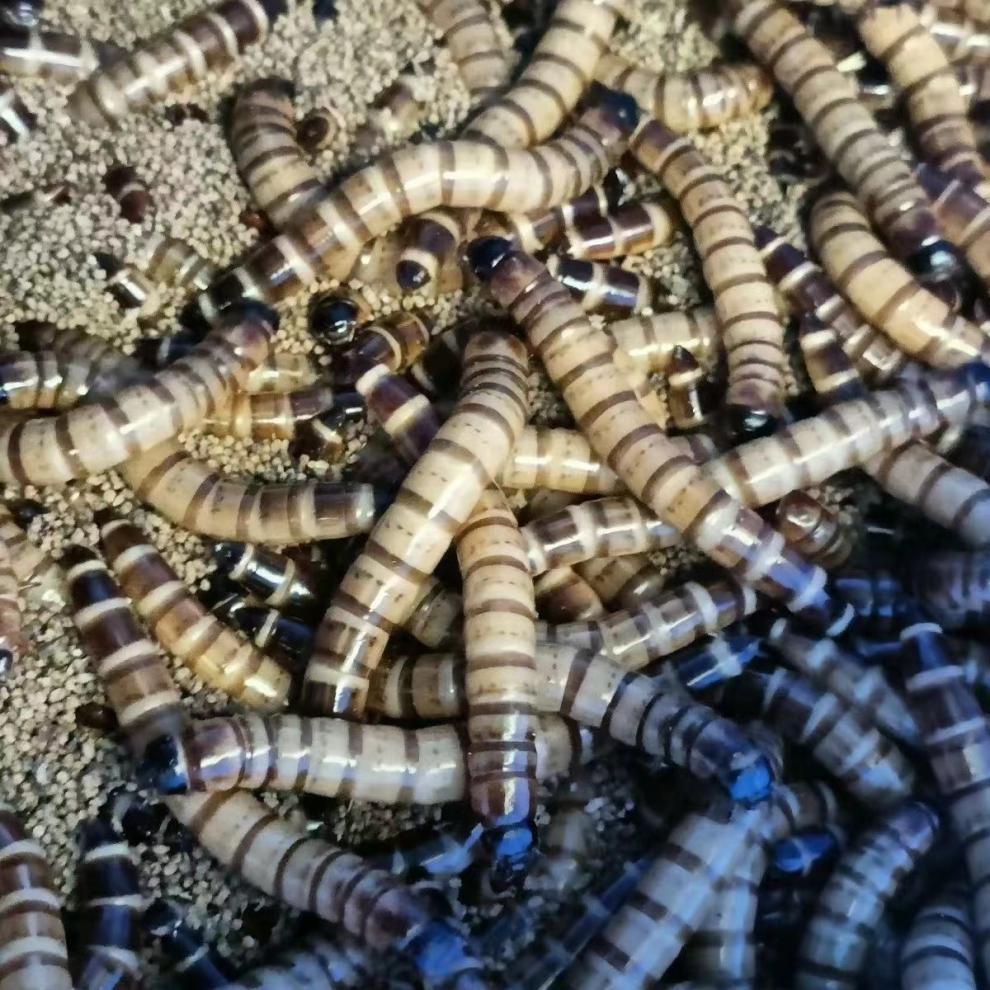 ae75ba54-1b03-433f-80e3-cd1920d5af63.jpe