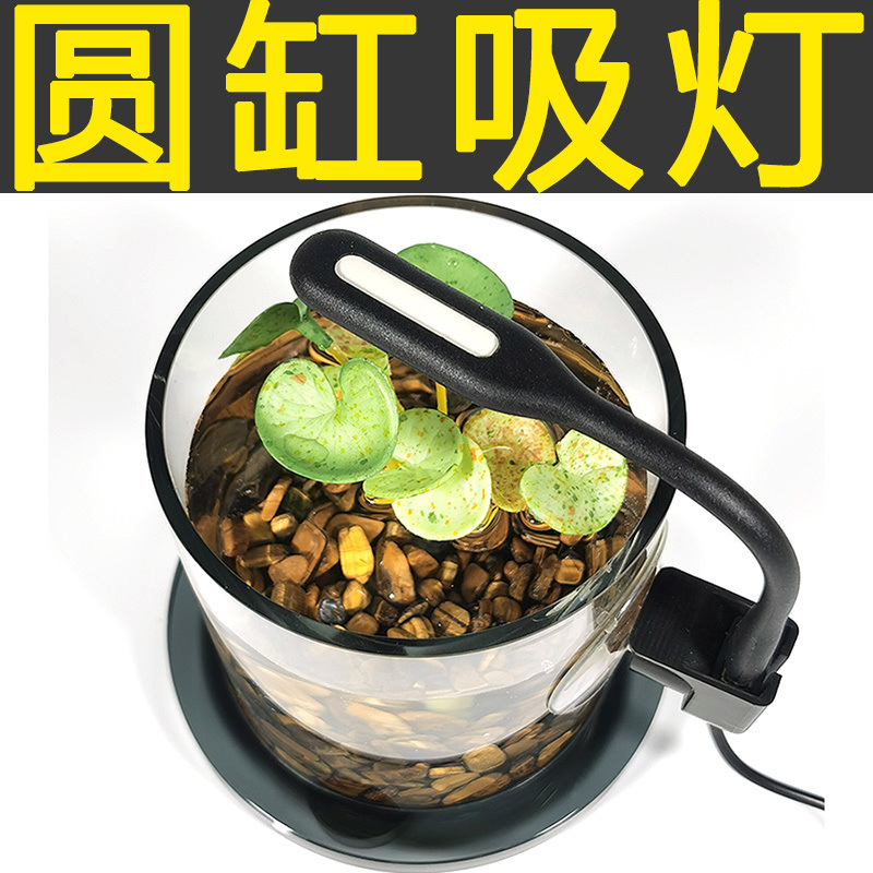 375a3941-d26c-48e3-8617-f6fdac5c0120.jpe