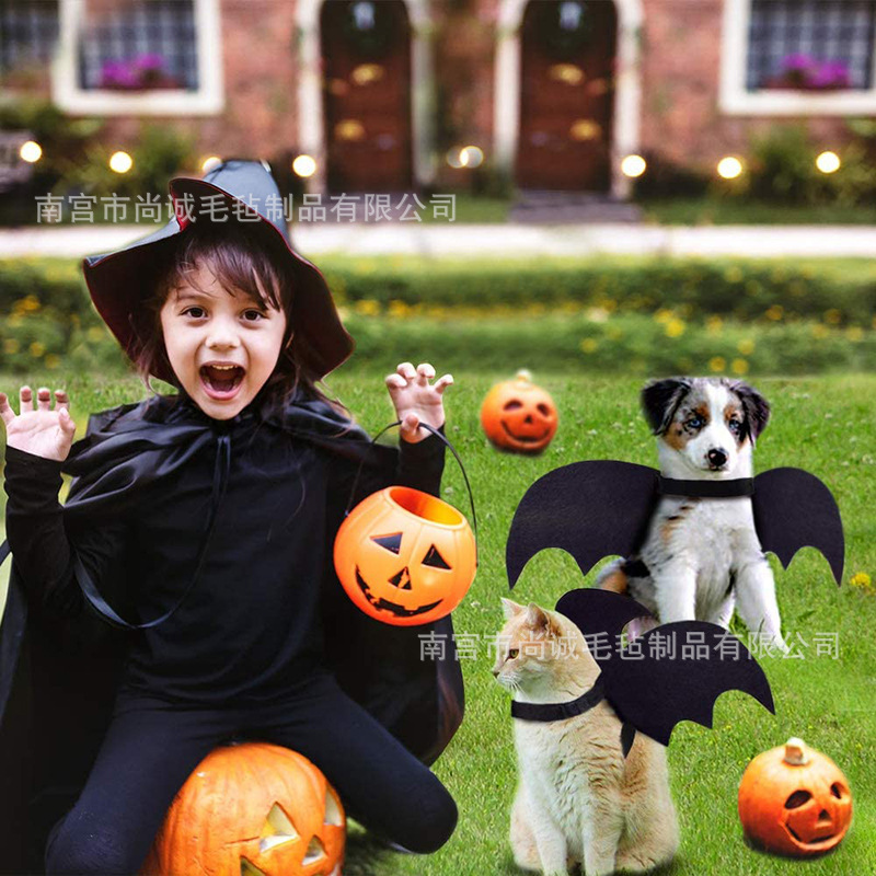 28-猫狗蝙蝠服装翅膀 (6)