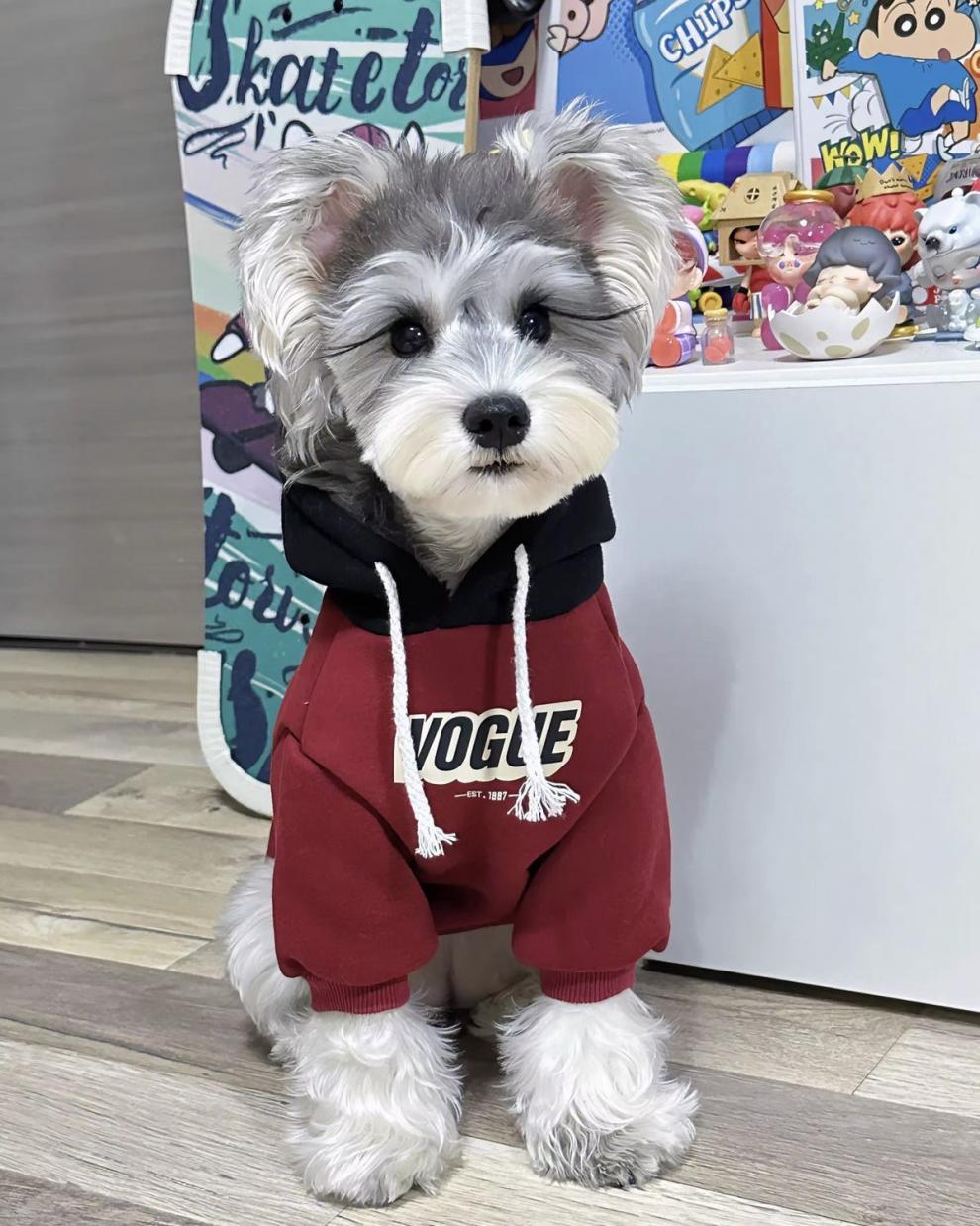 c771b354-7631-4ed3-ba66-2acc974ff52e.jpe