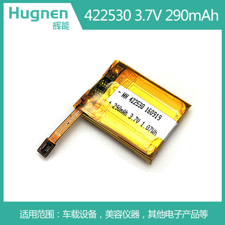 290mAh422530聚合物锂电池.jpg
