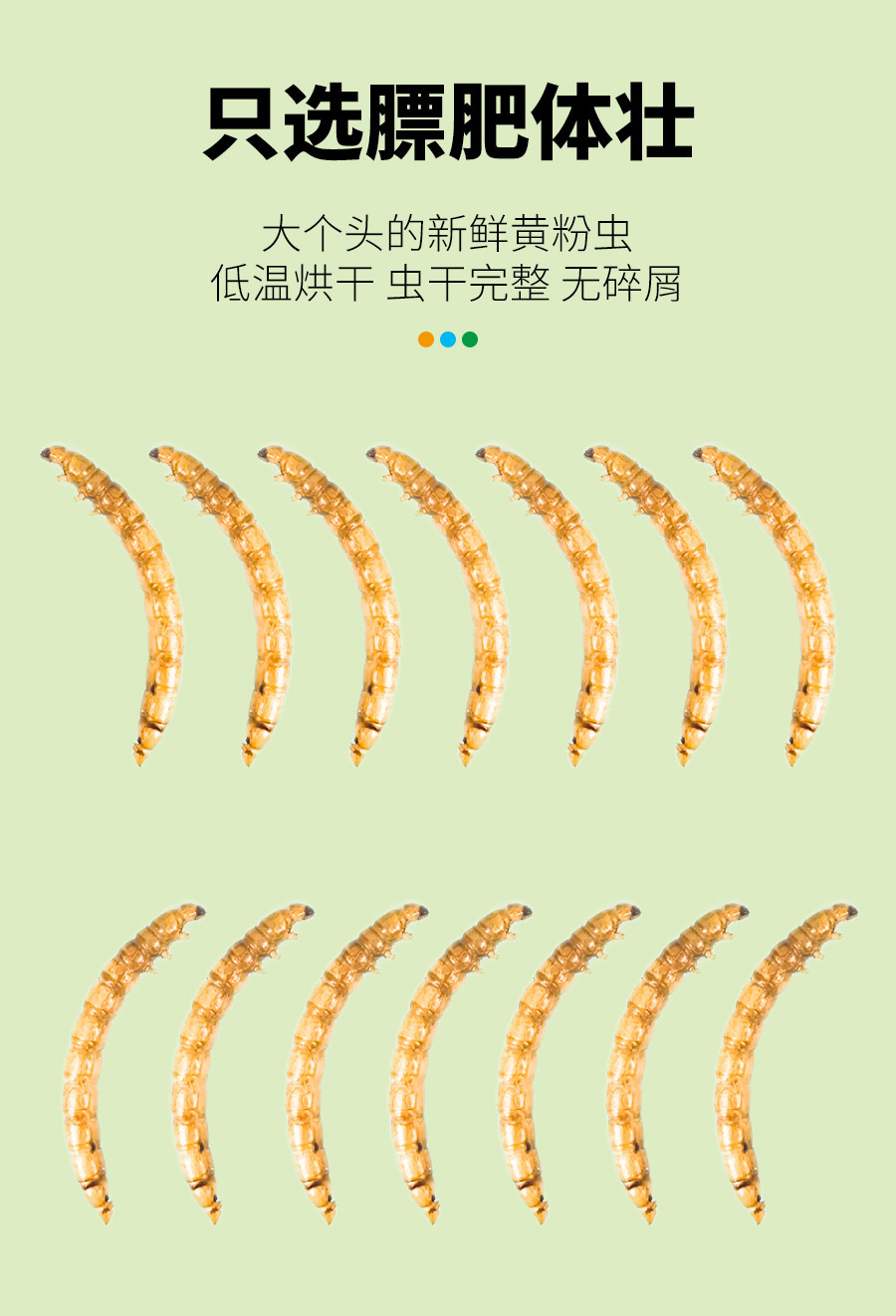0e305828-8fe7-4acc-bb38-ff5b60e6c87b.jpe