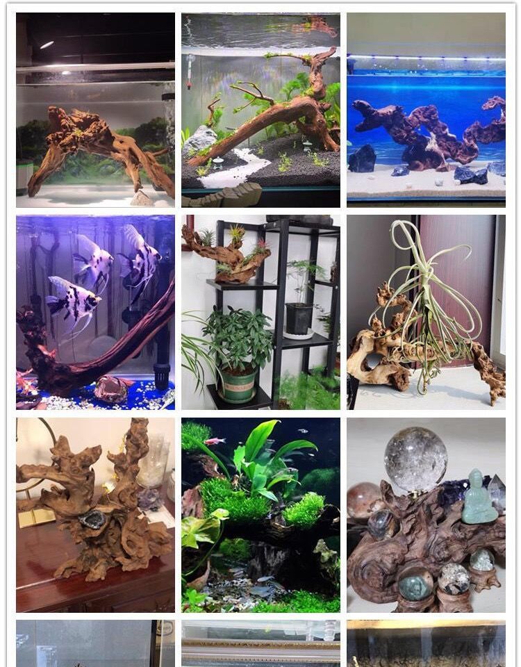 3feab882-e8b3-46c6-b1c9-c7e147e0488e.jpe