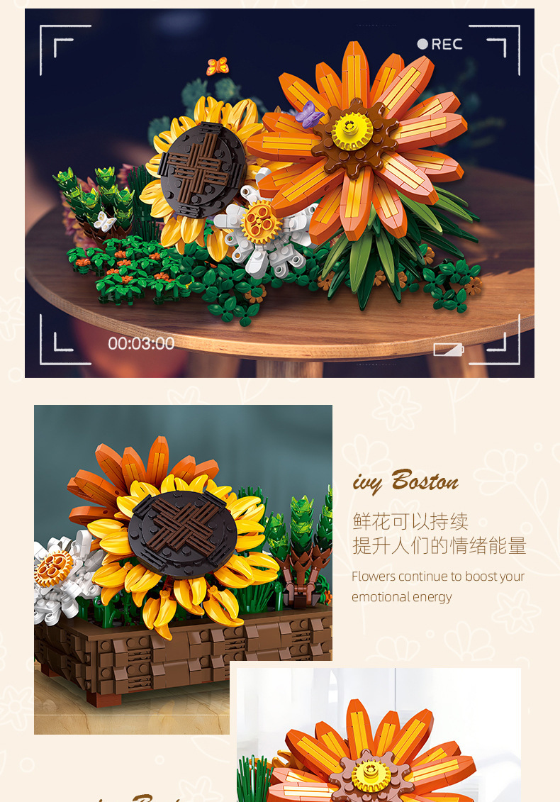 详情-38.jpg