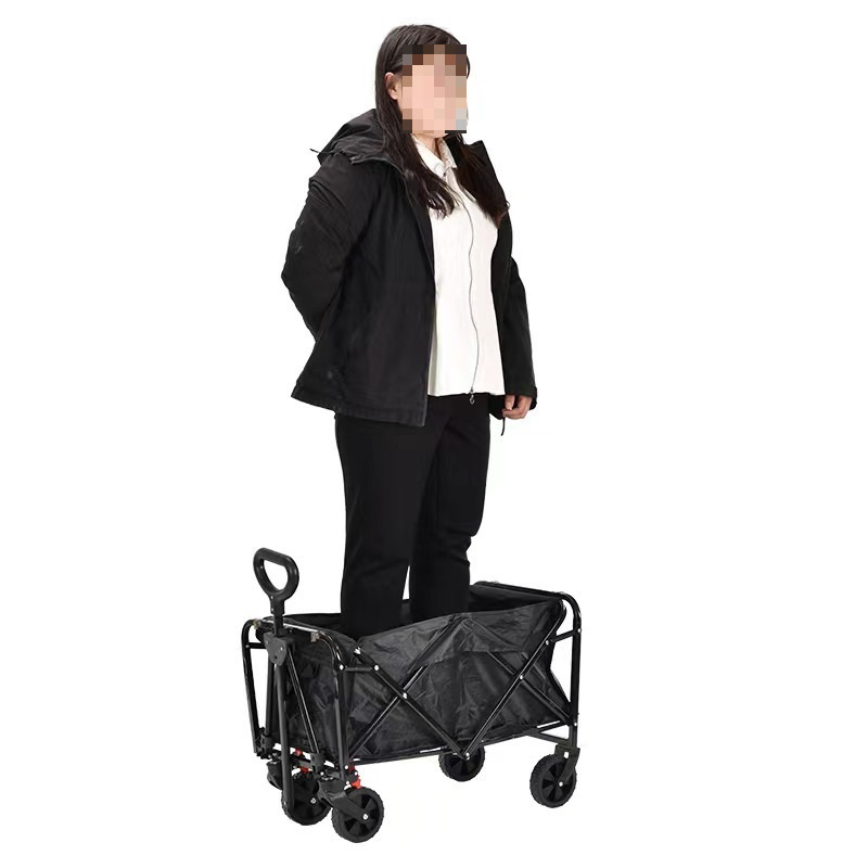 4e4c3d71-babd-4c8c-ba8f-5420f73b48d8.jpe