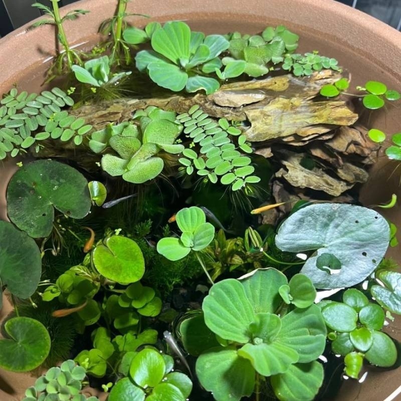 270111b6-7c07-4a0f-aa5d-dc354af3bc68.jpe