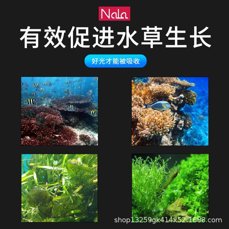 主图6.jpg