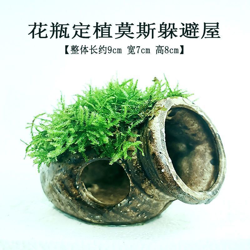 172d5d97-277e-408b-bb30-dc4e7d2469fb.jpe