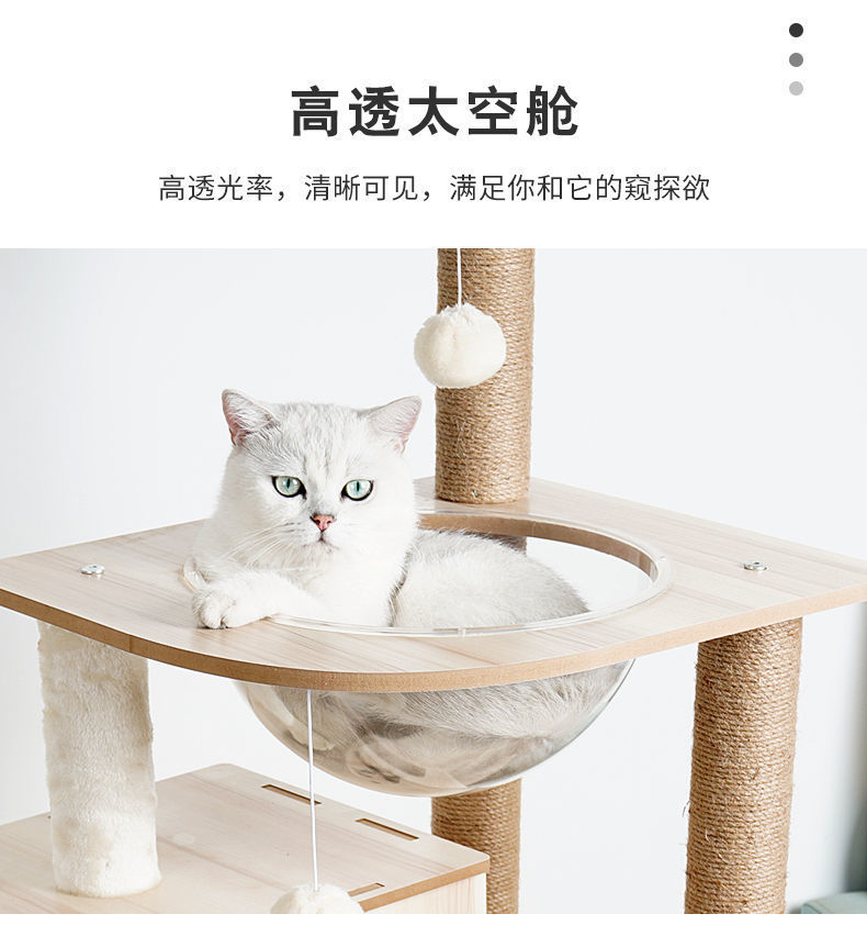 182cff81-9a0f-4bfa-9d52-b1e855cbb0a3.jpe