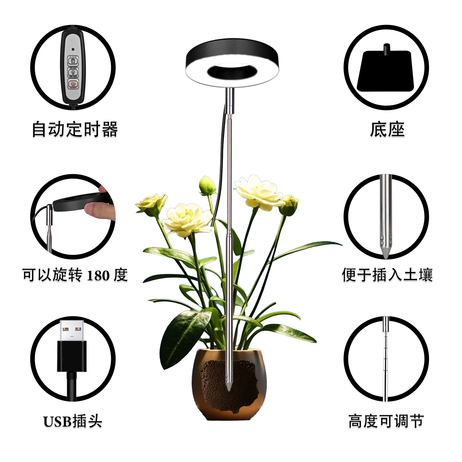 全功能2