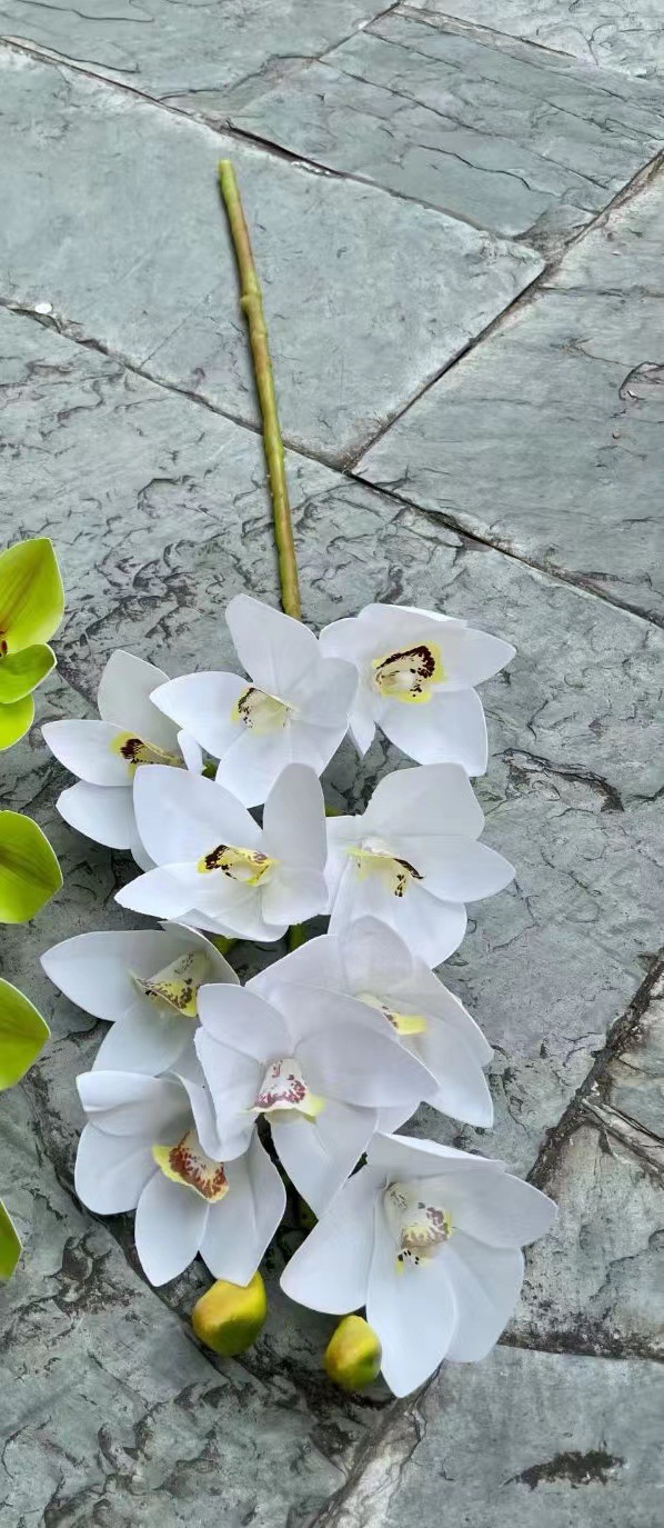 微信图片_20240811190258