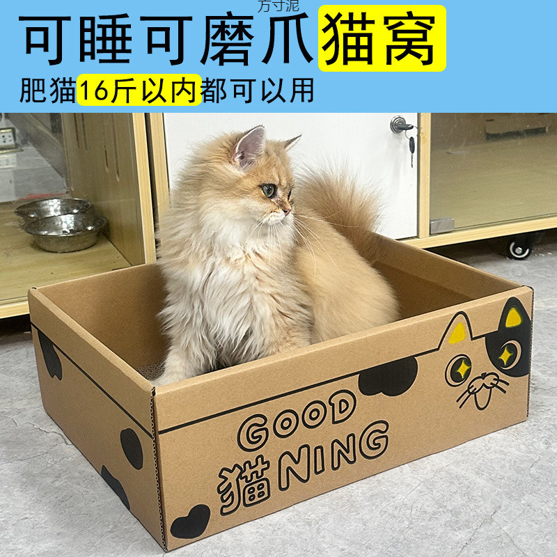 b3f15481-bbb9-4a9d-bb3d-3e8f251e0067.jpe