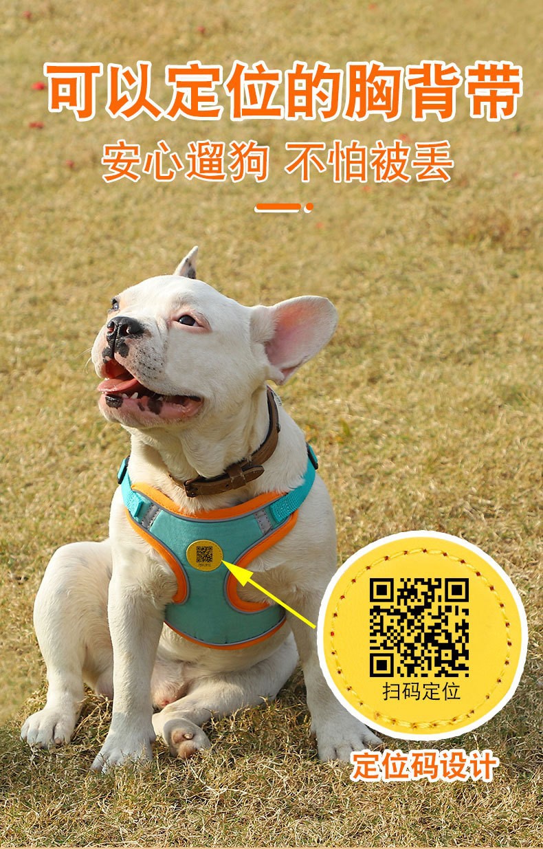 O1CN01YxnV4T1adGL7wgtn2_!!2206