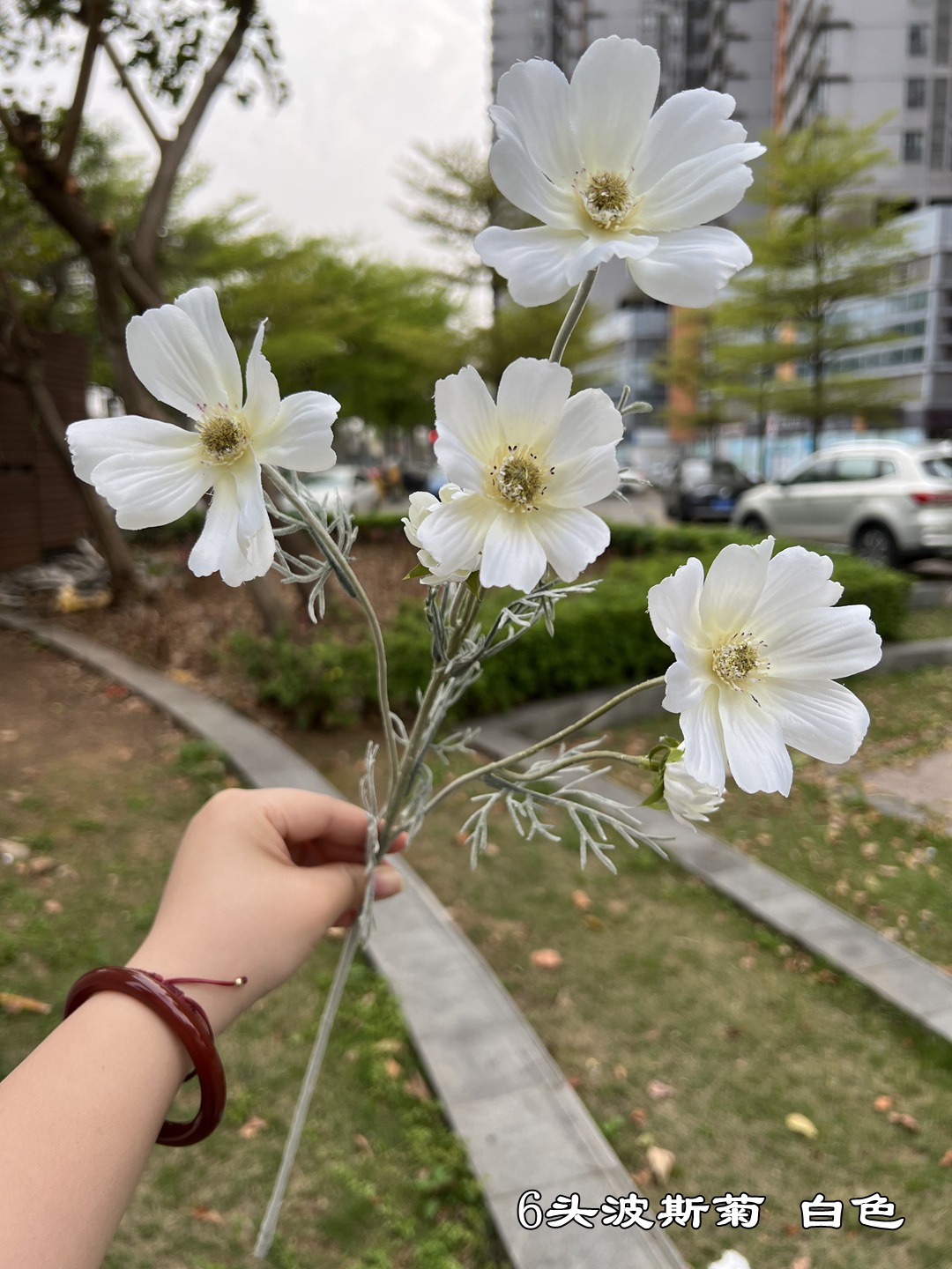 微信图片_20220618155006