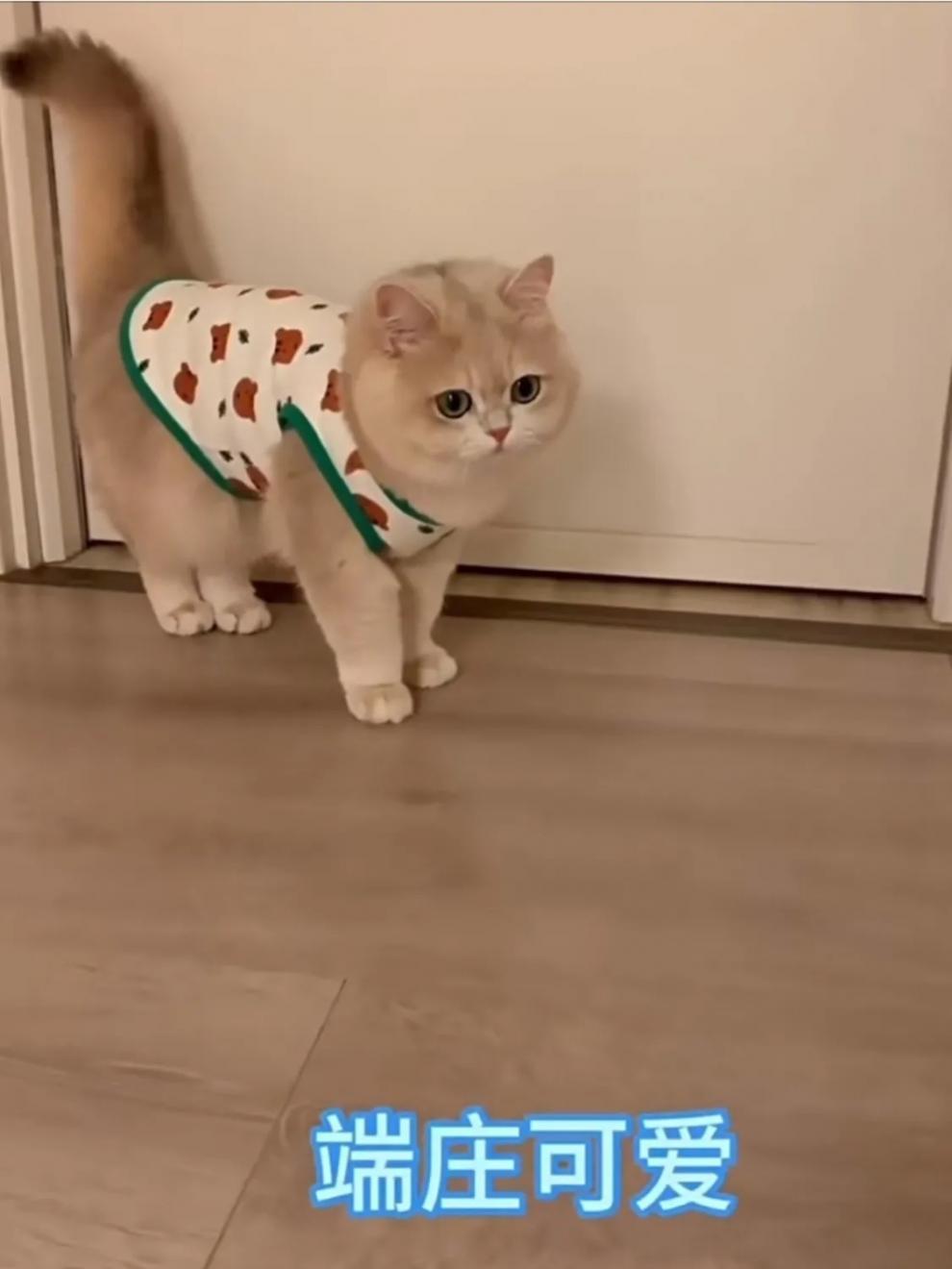 5b779ffd-f5cf-4b9b-a312-8263a5bbce0e.jpe