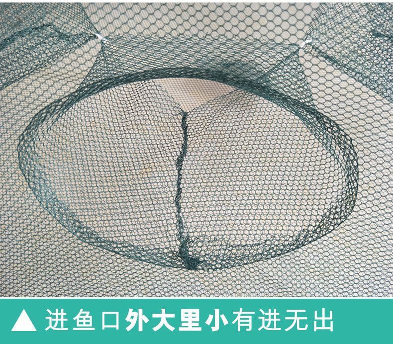 93f0a329-e683-4dec-85a9-3f7a77579cf6.jpe