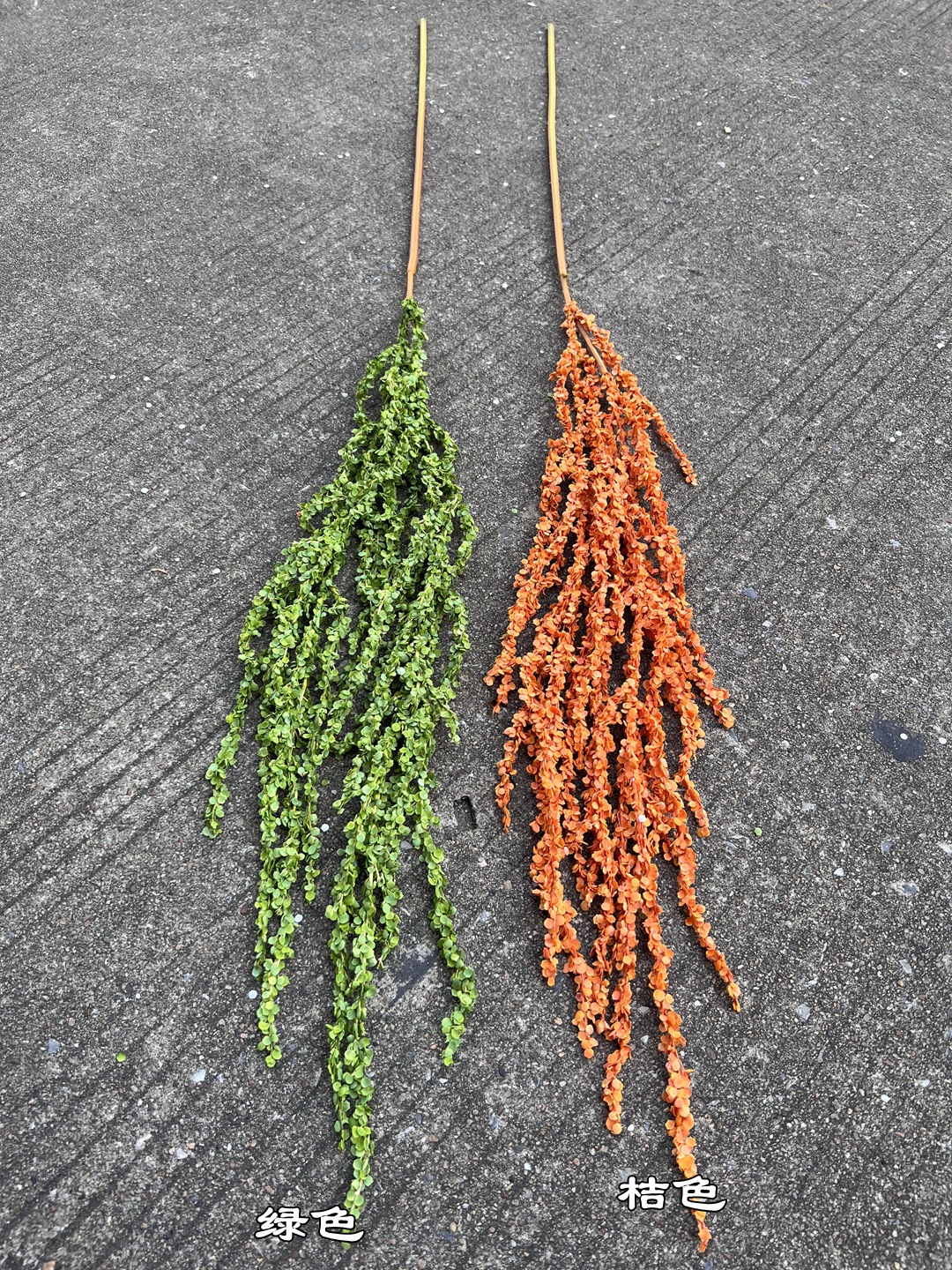 微信图片_20231030195637