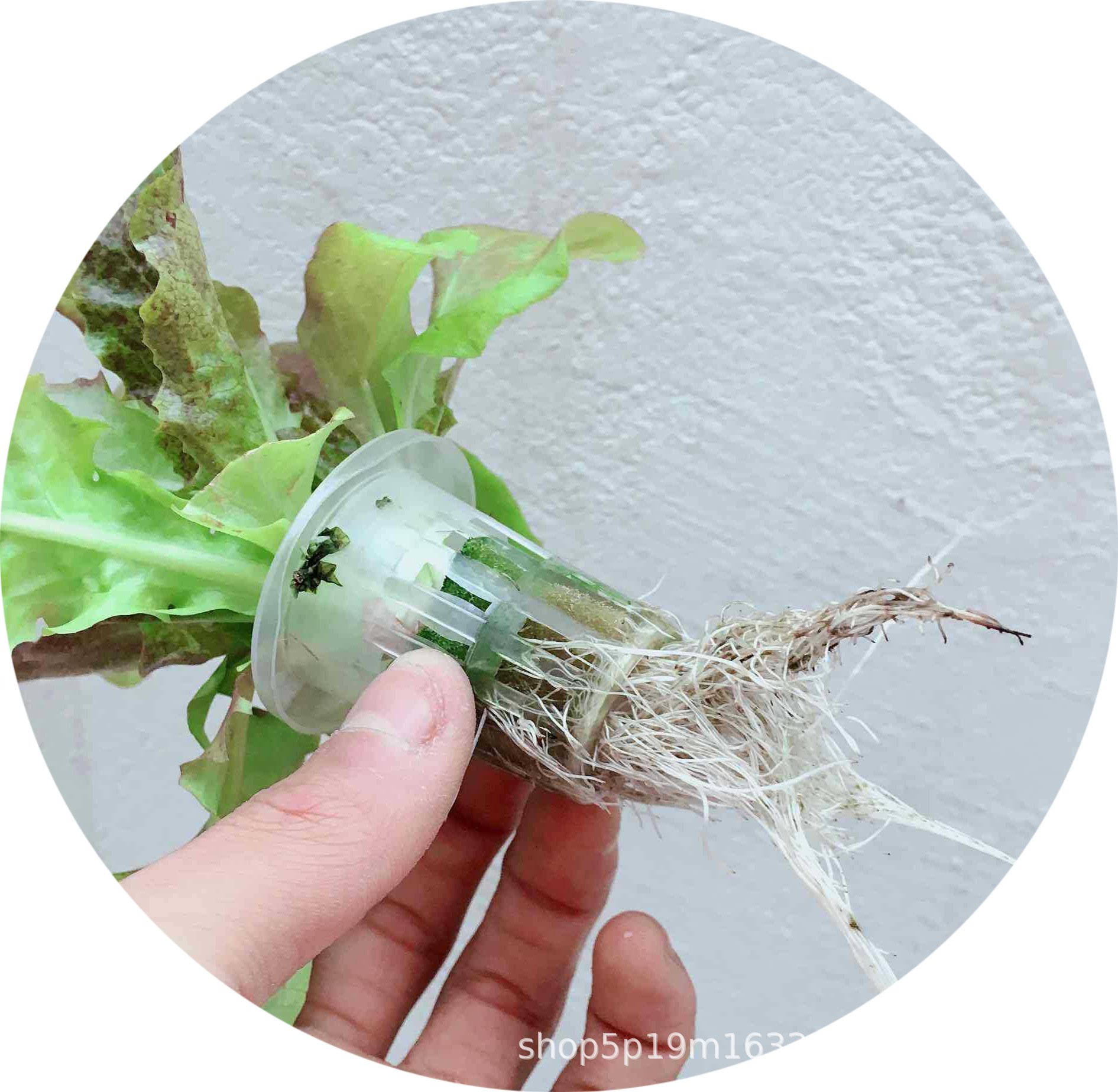 108孔 6.jpg?x-oss-process=image/format,png