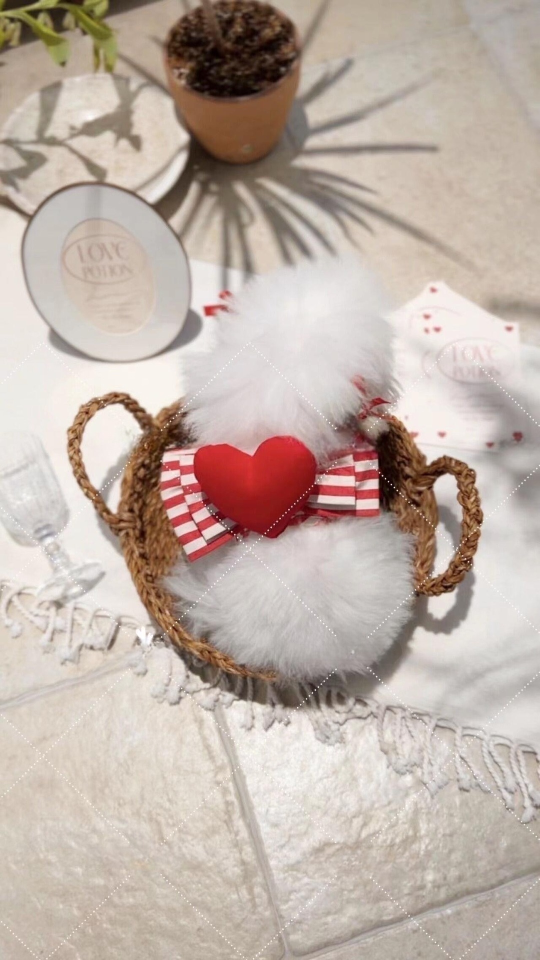 QQ图片20230807164225