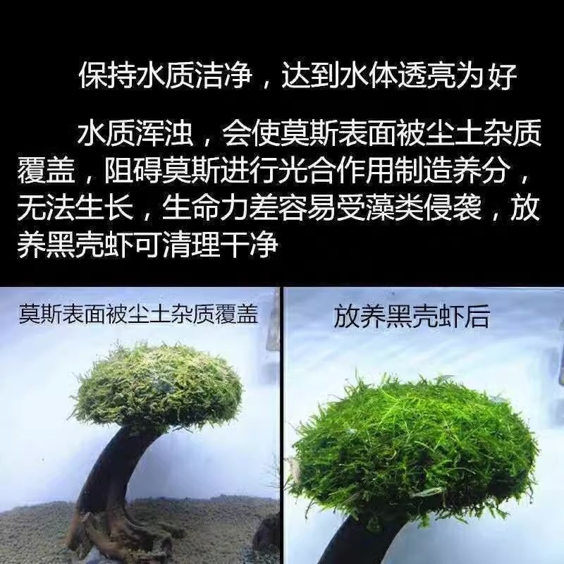 ddd6c6f2-cca9-49f7-b2f7-603e7d60034e.jpe