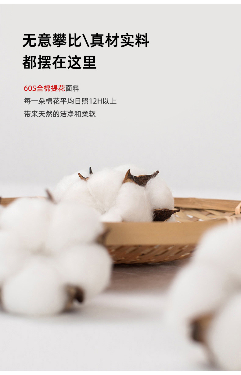 白提20251028_16.jpg