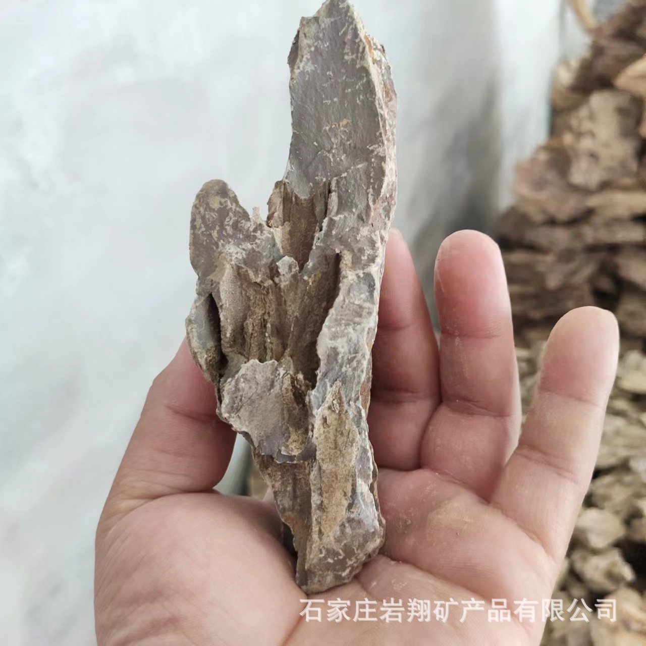 5520c3351eb11c645a9e5c29161eea