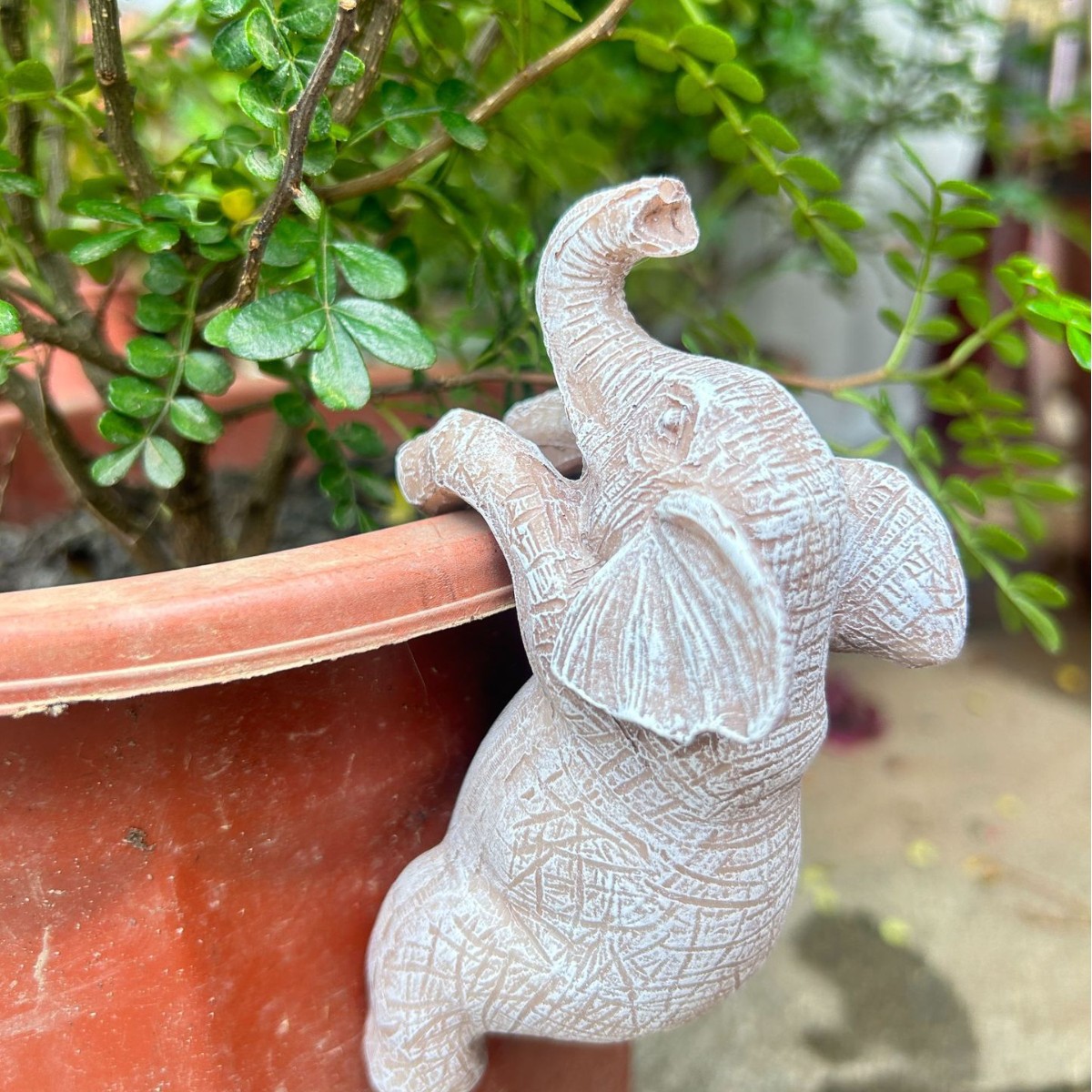 2025-07-18 13:08:36.jpg