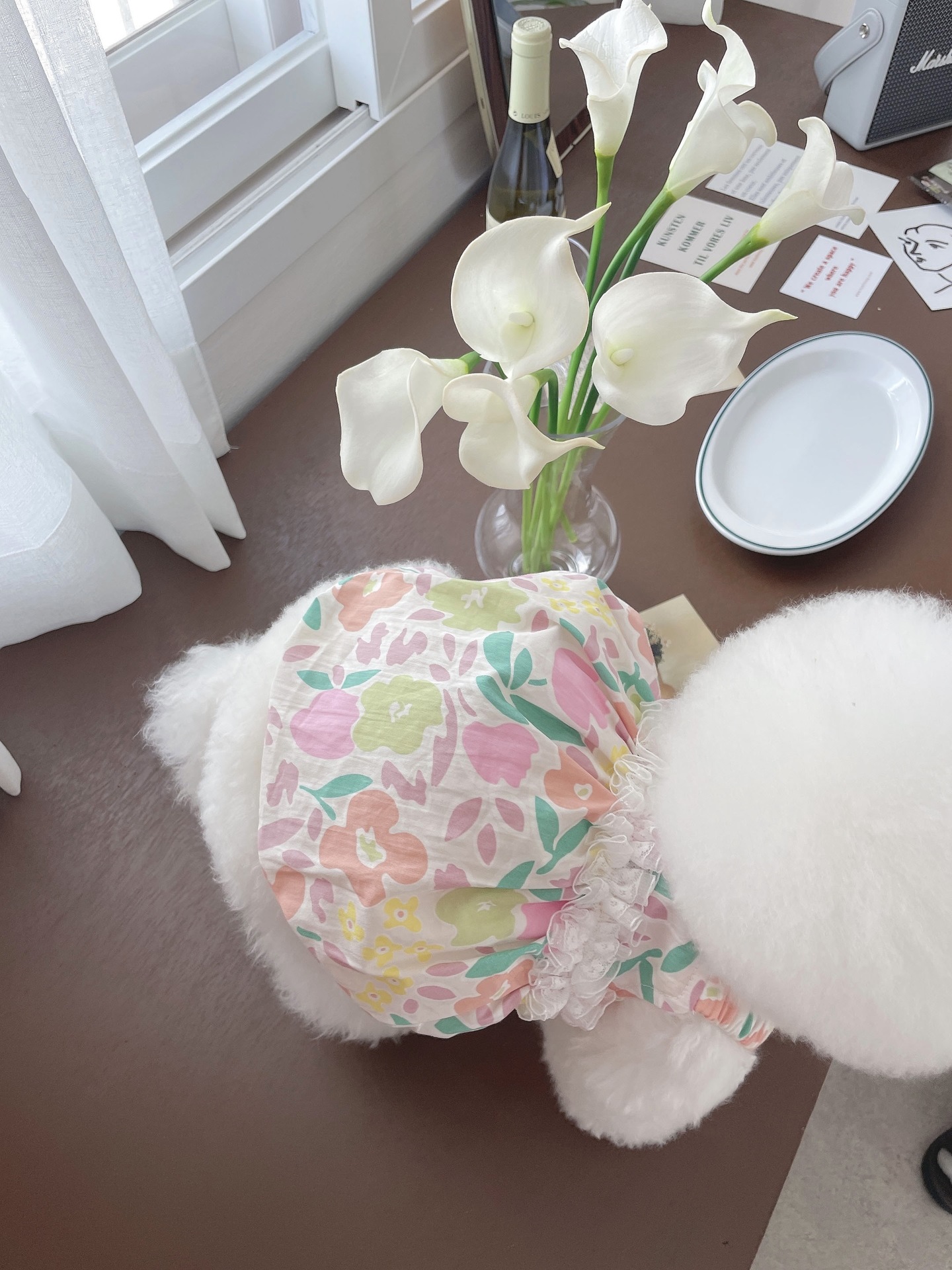 KakaoTalk_20210504_133403674 (