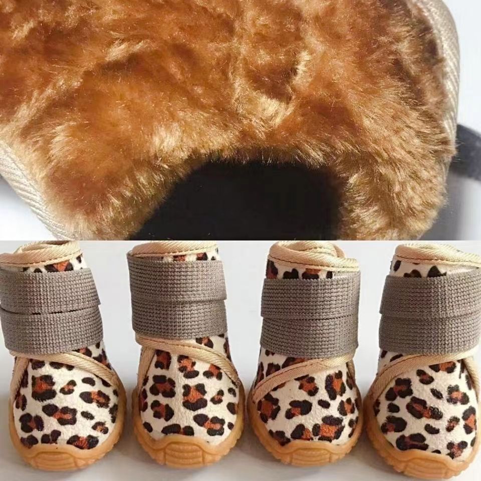 微信图片_20220630130725