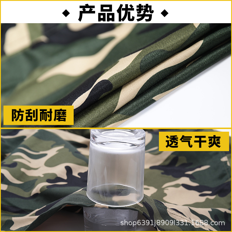 特点.jpg