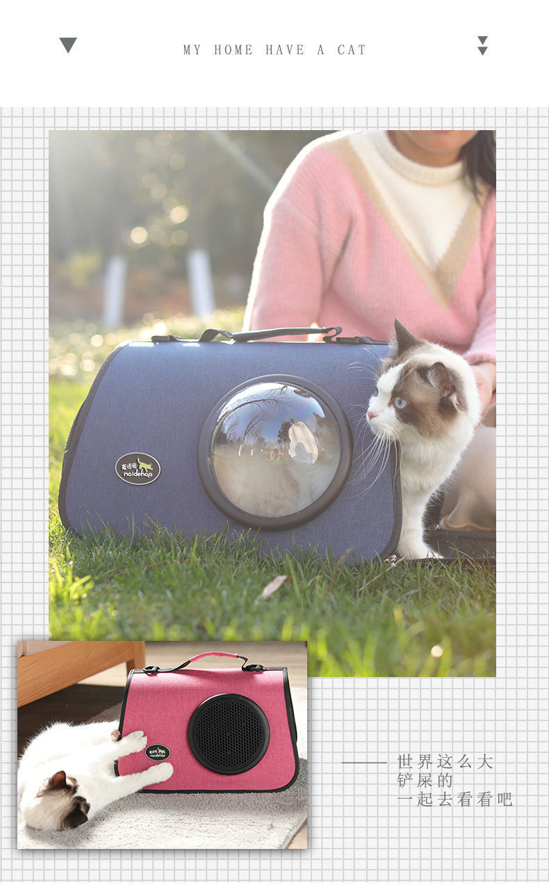 4700f47b-57e6-441e-96cc-a969621fa7a6.jpe