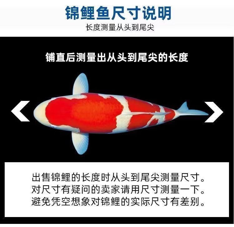 9b1ec03f-1a99-420b-b165-9f34162b3ebf.jpe