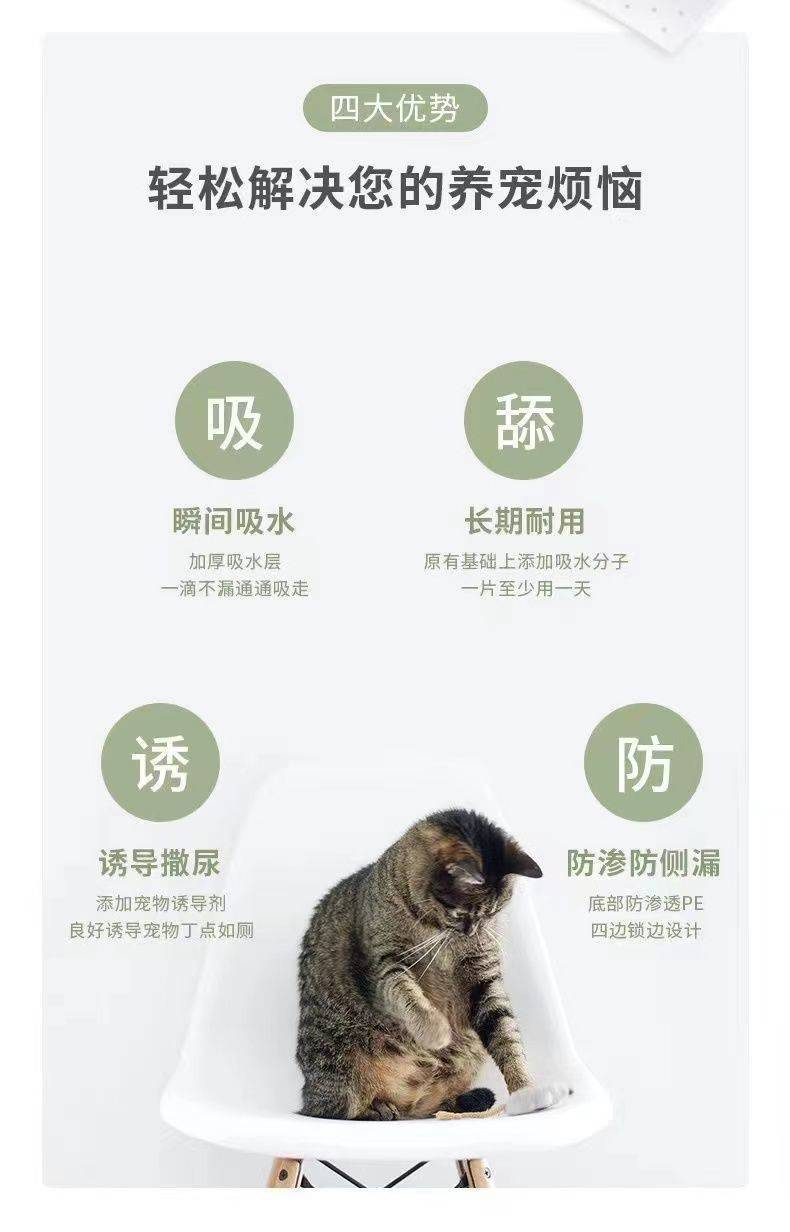 b3490e73-a606-48af-b045-ef1bc68a4299.jpe