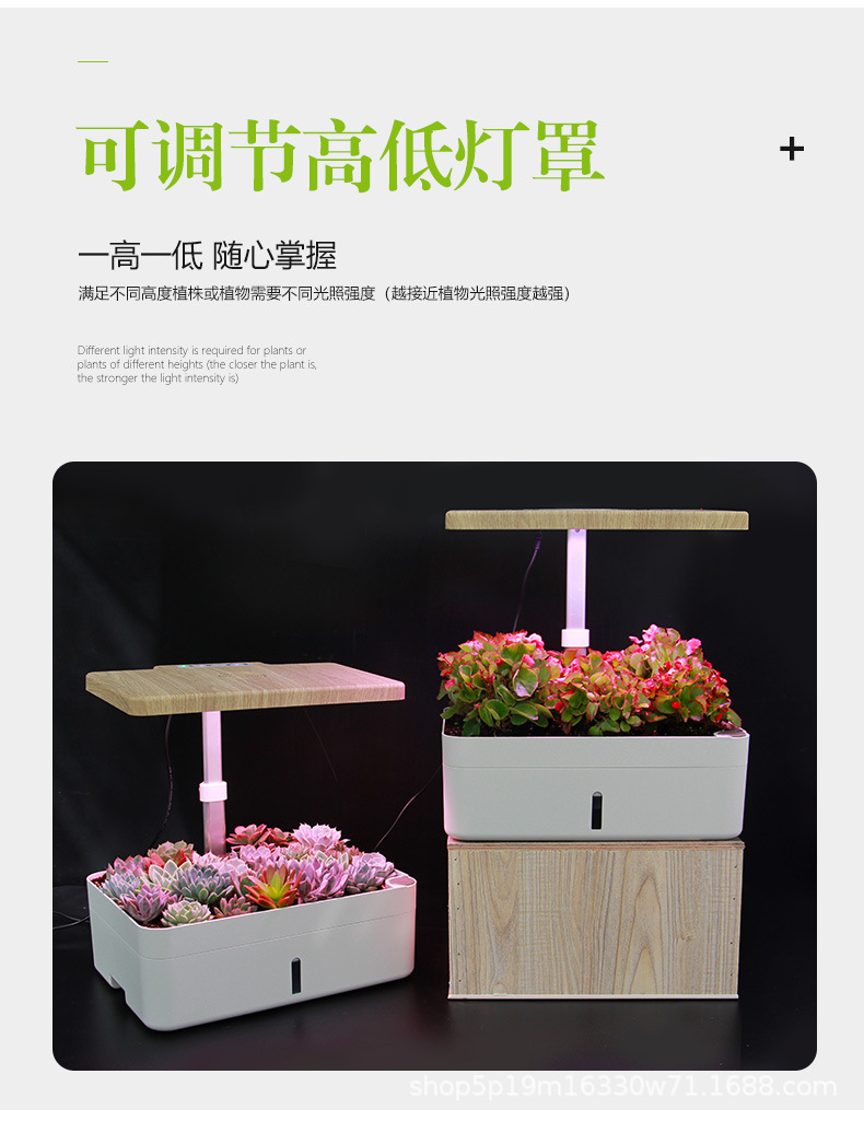13.jpg?x-oss-process=image/format,png