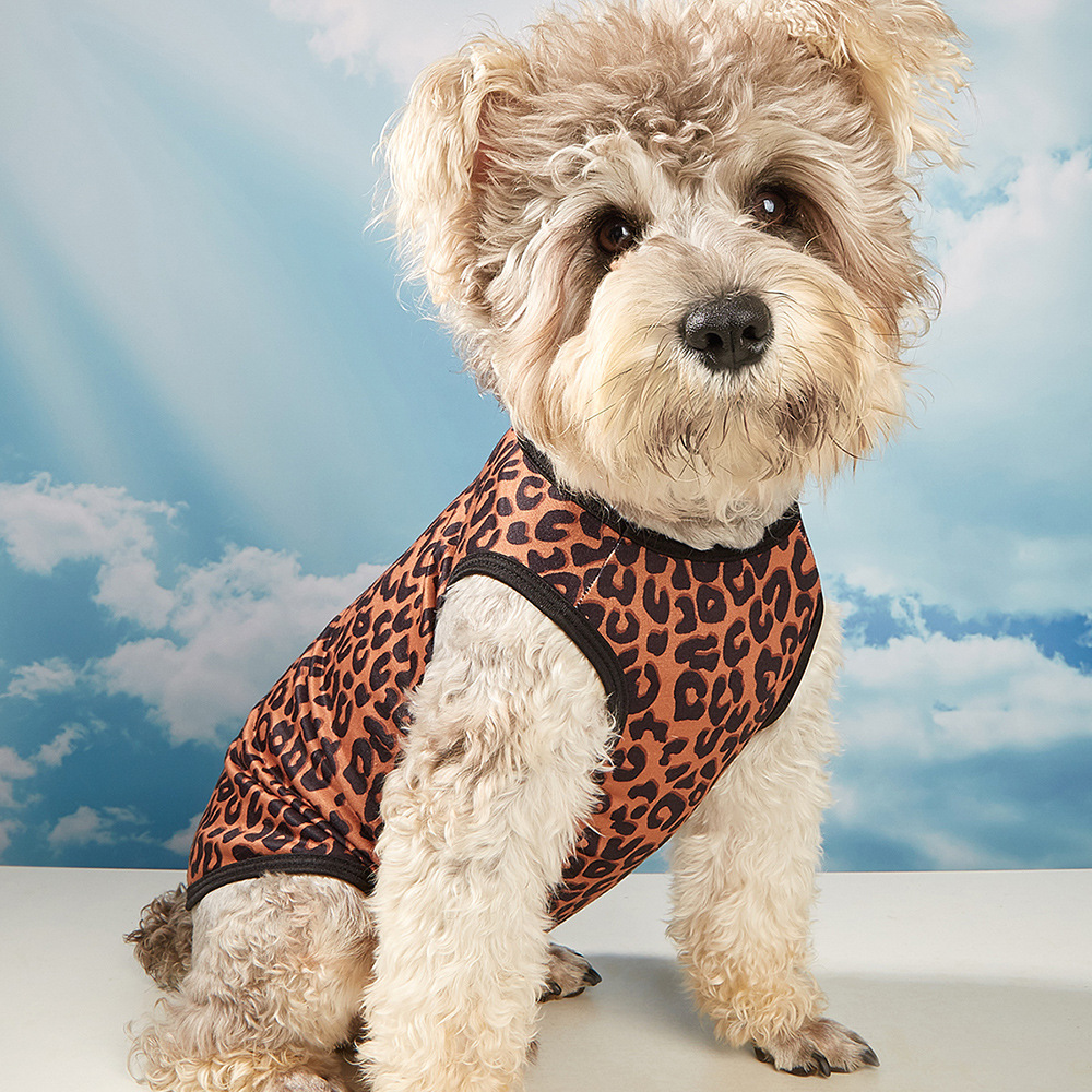 欧康宠物 狗衣服 猫衣服