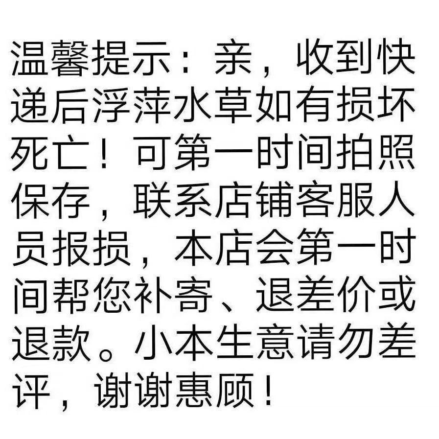 6009d87b-9d22-4dc5-88be-55ce13e3be42.jpe