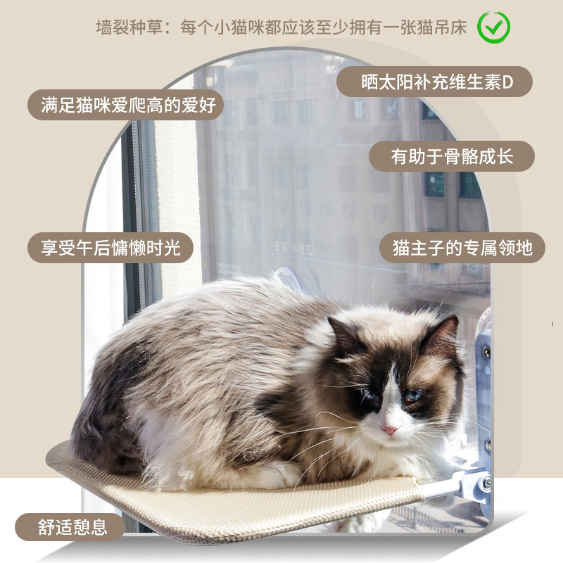 主图-4.jpg