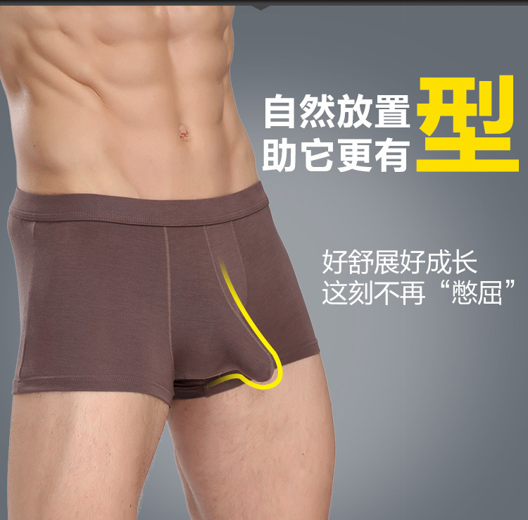 详情8.jpg