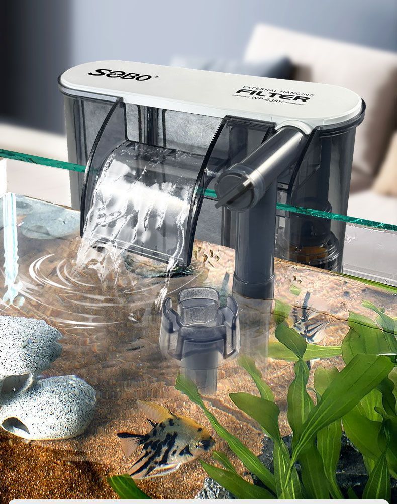 1ac41585-47b0-4479-8a28-08a5f3223c66.jpe