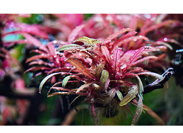 fedc1e849d74562390324752df14d3