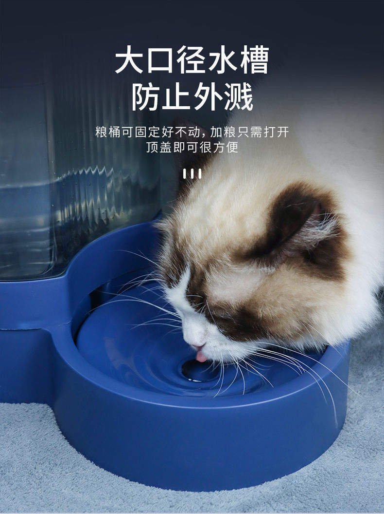 973ab2d5-c2d2-490a-b473-8b0cbeea52e9.jpe