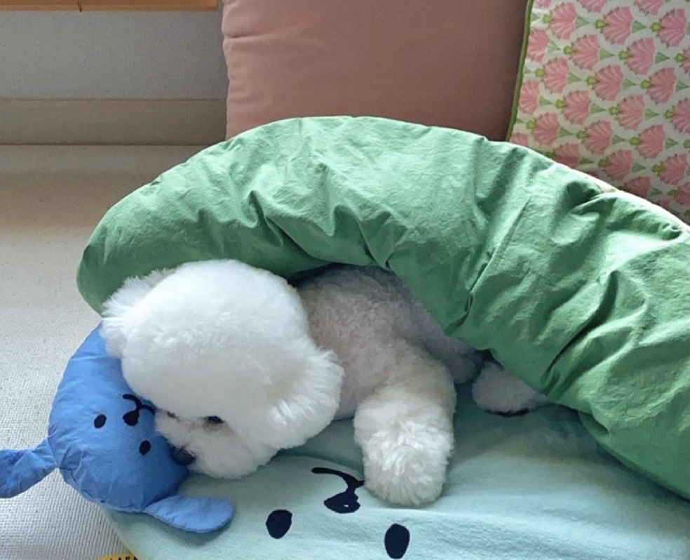 微信图片_20210921150331