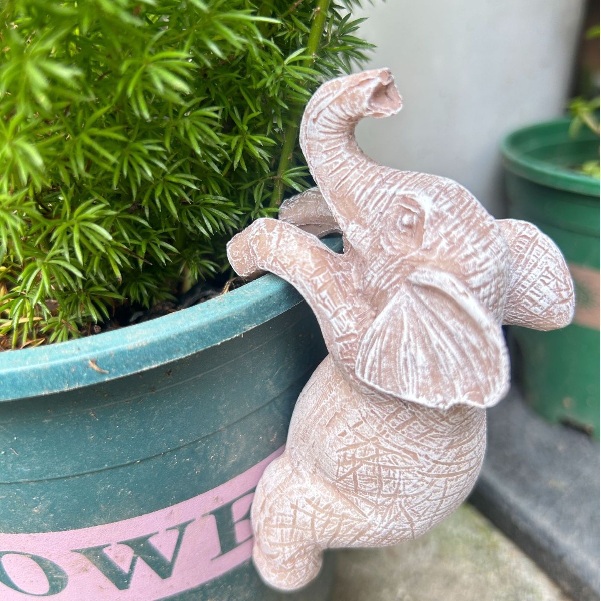 2025-07-18 13:09:16.jpg