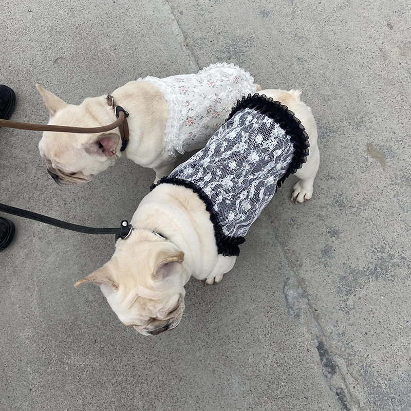 微信图片_20220114212310