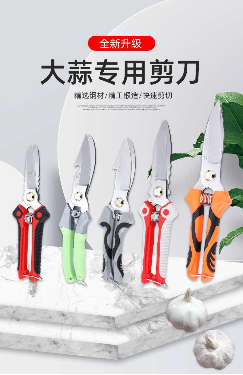 3-大蒜剪刀_01.jpg